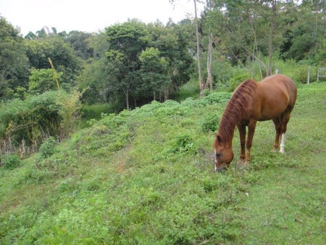Vereda Bike Park Hotel São João del Rei Екстериор снимка